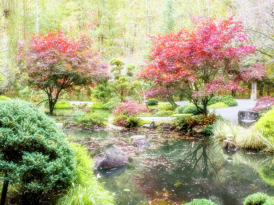 Twin Japeneese Maples by a Pond Photograph by Penny Lisowski