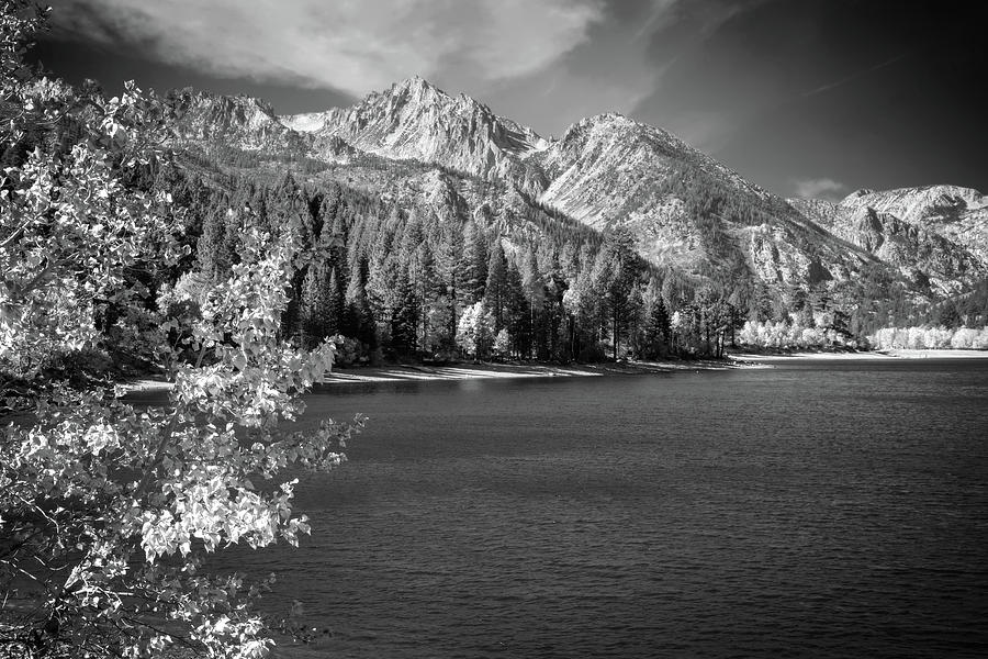 Twin Lakes Wrapped in Autumn - Black and White Photograph by Lynn Bauer