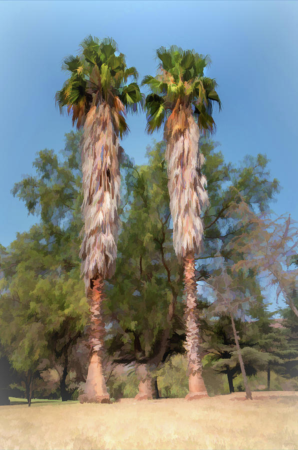 Twin Palm Trees With Art Effect Photograph