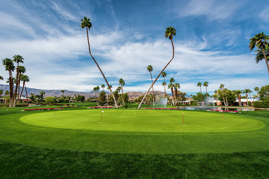 Twin Palms at Marrakesh Country Club Photograph by Jay Hooker - Fine ...
