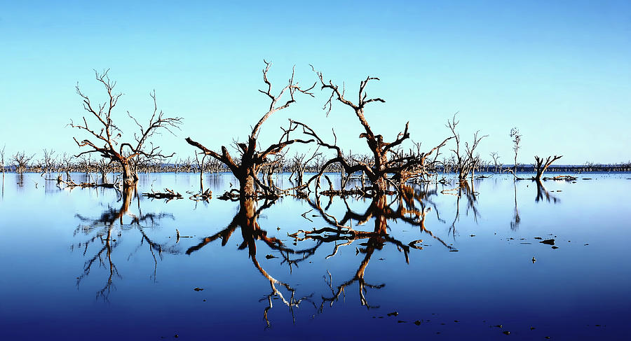 Twin Reflections - Blue Photograph by Lexa Harpell
