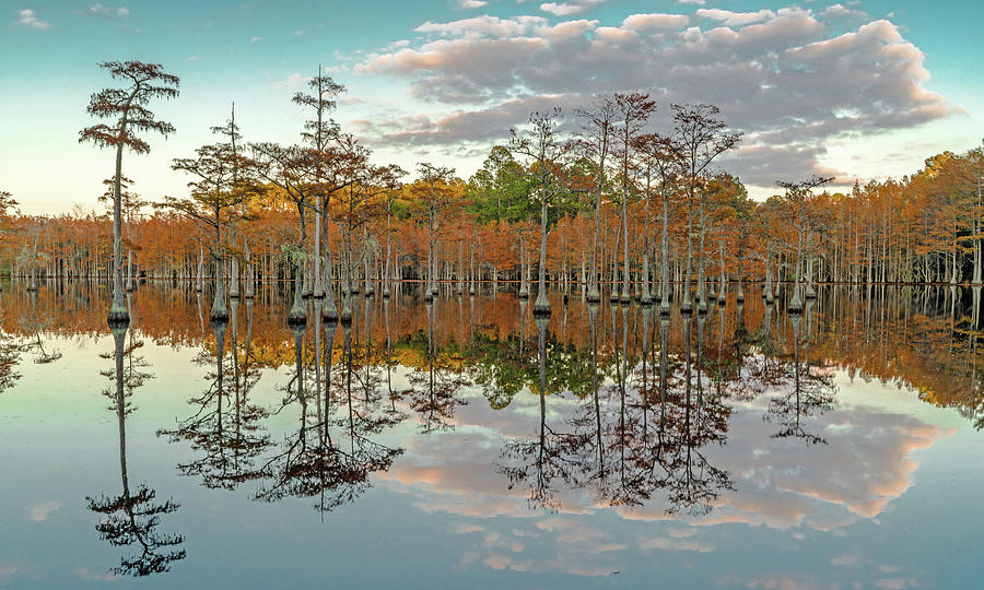 Twin Reflections Photograph by Eric Albright