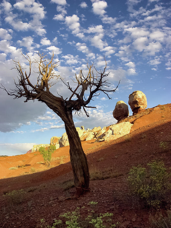 Twin Rocks - Capitol Reef National Park Photograph by Larey McDaniel