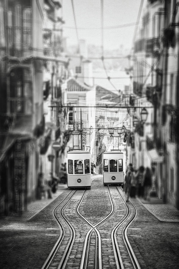 Transportation Photograph - Twin Trams Elevador da Bica Lisbon Black and White  by Carol Japp