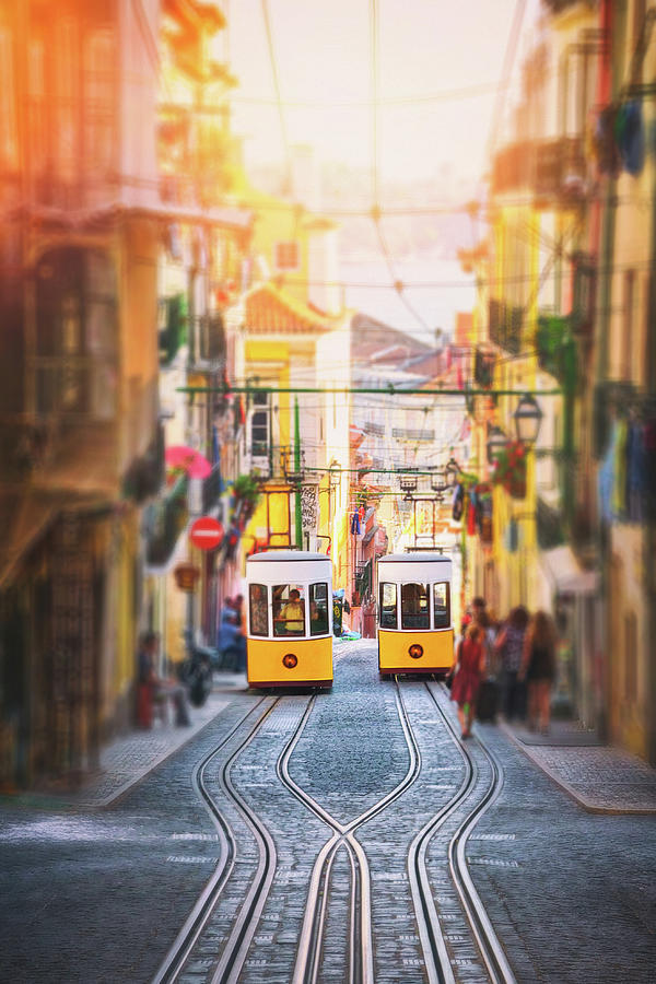 Transportation Photograph - Twin Trams Elevador da Bica Lisbon by Carol Japp
