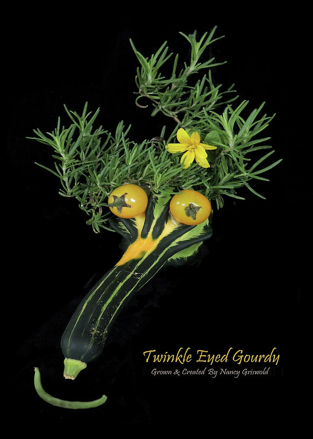 Twinkle Eyed Gourdy Vegetable Art Photograph by Nancy Griswold