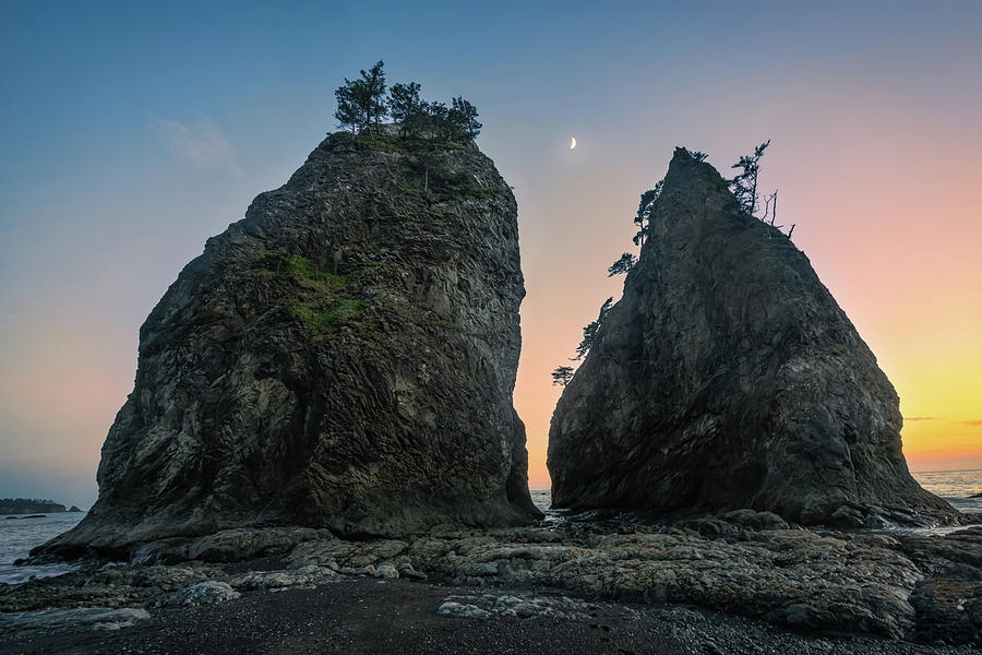 Olympic National Park Photograph - Twins At Rialto by Steve Berkley