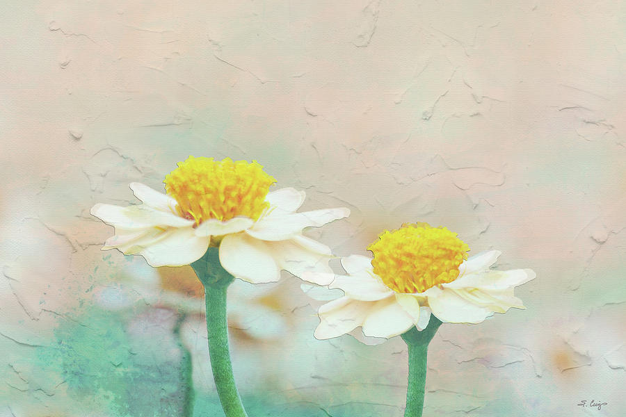 Twins Delicate Wildflower Art Painting by Sharon Cummings
