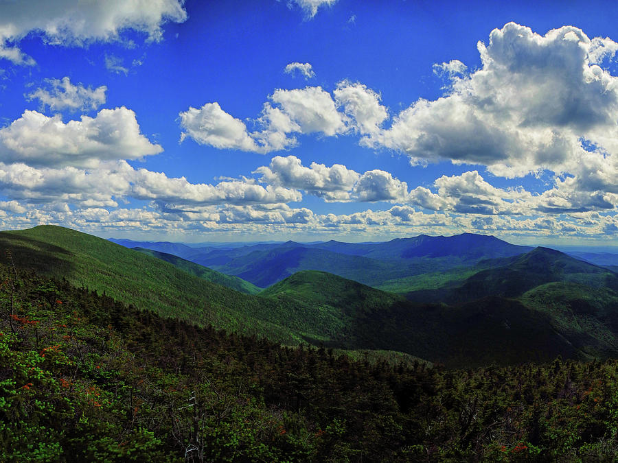Twinway Section of New Hampshires Appalachian Trail Photograph by Raymond Salani III
