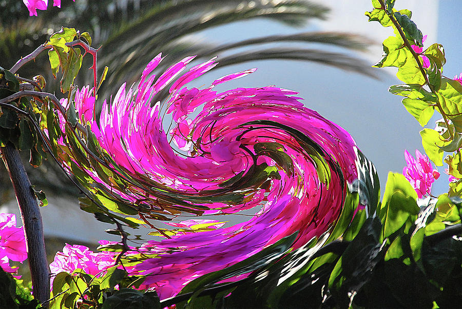 Twirl floral   - 7046 Photograph by Panos Pliassas