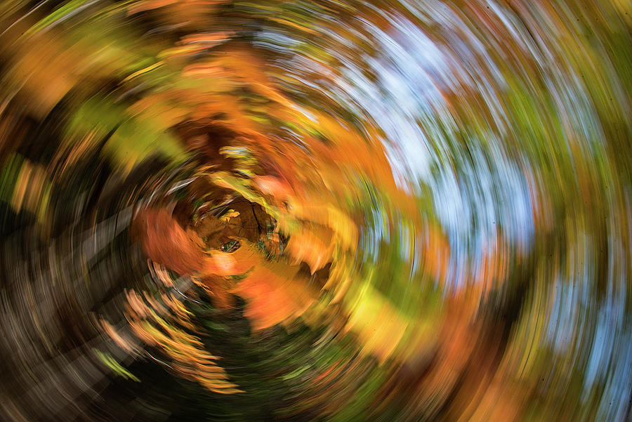 Twirling Leaves Abstract Photograph by Steve Somerville