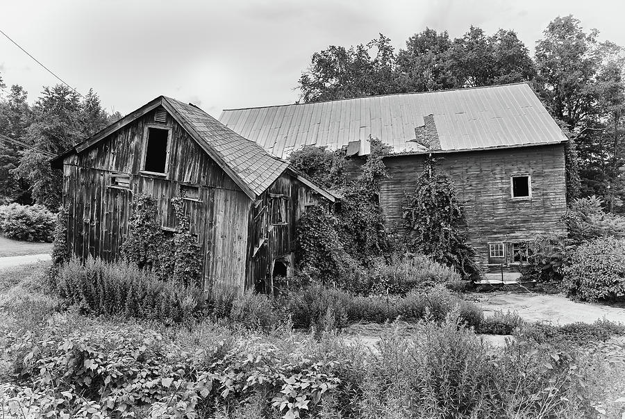 Twisted Barn Photograph by Steven Nelson