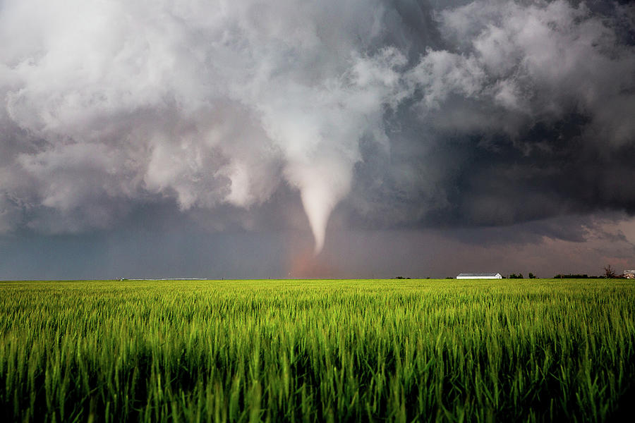 Twisted Dreams - Large Tornado Over Wheat Field on Stormy Spring Day in ...