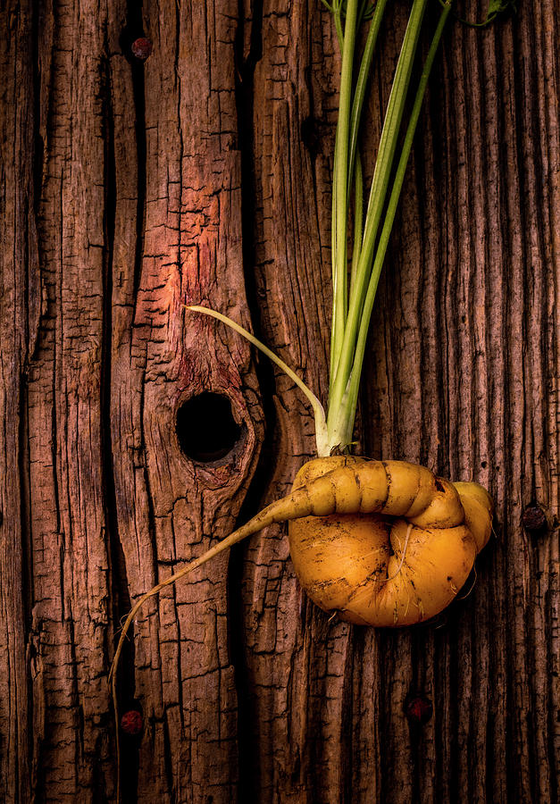 Nature Photograph - Twisted Rainbow Carrot On Wooden Board by Garry Gay
