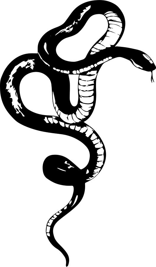 Twisted snake digital print, Snake sticker, snake print, snake design ...