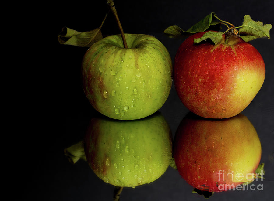 Two apples Photograph by Agnes Caruso