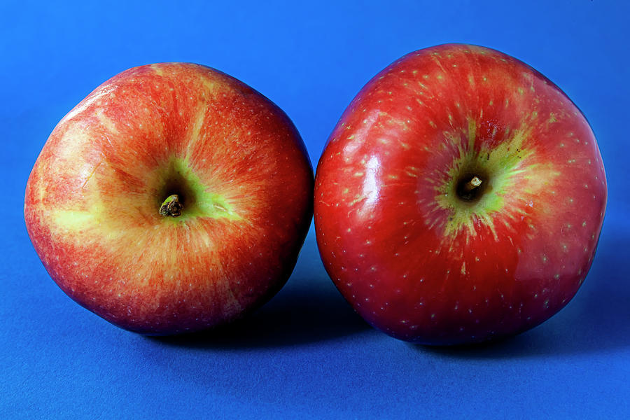 Two Apples Photograph by Robert Ullmann
