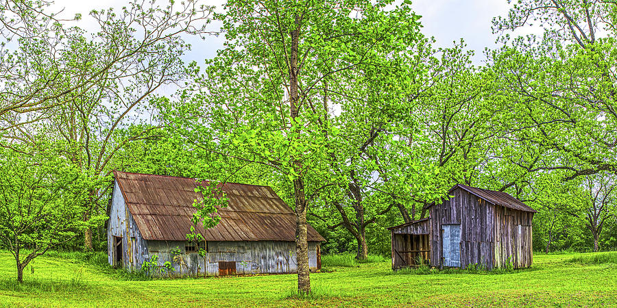 Two Barns, South Carolina Photograph by Don Schimmel