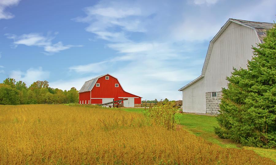 Two Barns with soybean field ready for harvestTipton County, In