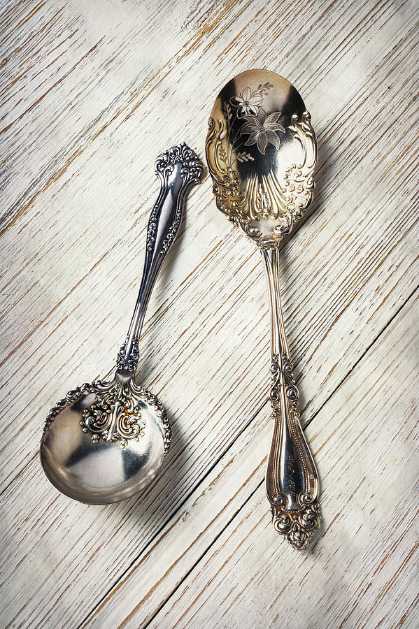 Two Beautiful Silver Spoons Photograph by Garry Gay