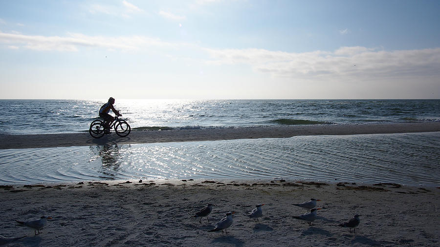 Two Bicyclists on Siesta Key Beach, Florida Photograph by The Photography Factory