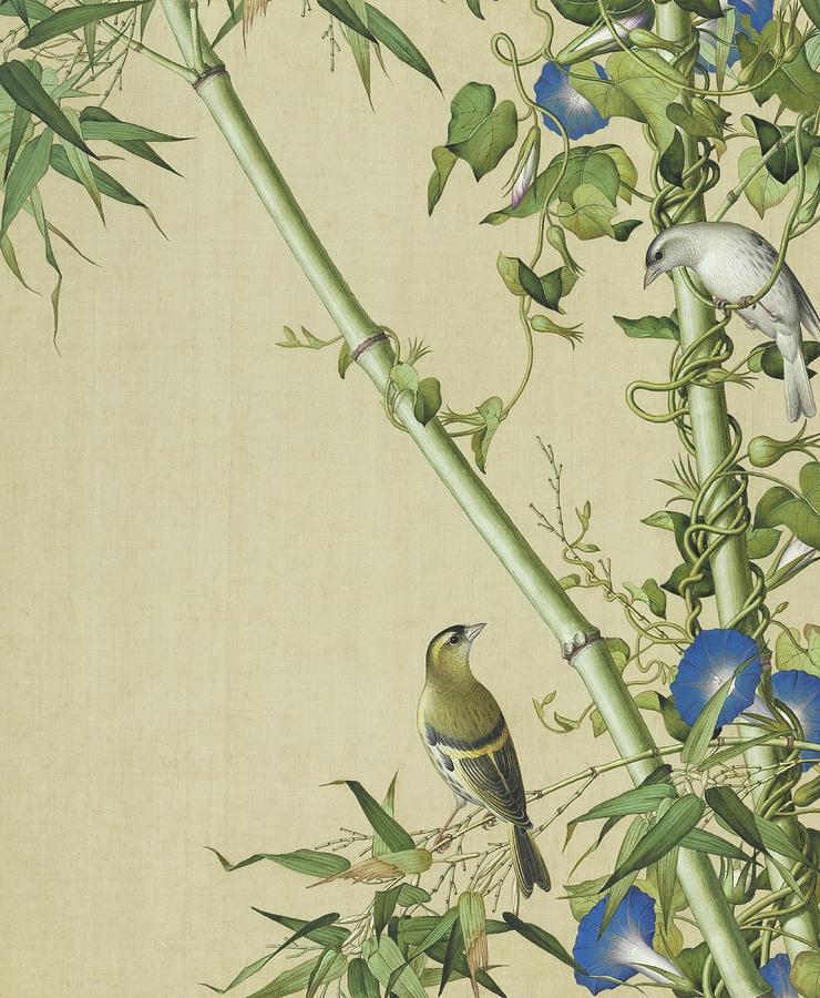 Two birds, emerald bamboo and morning glory - Chinese flower and bird paintings Painting by Giuseppe Castiglione Lang Shining