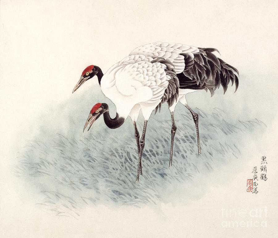 Two Black-necked Cranes Painting by Zhan Gengxi