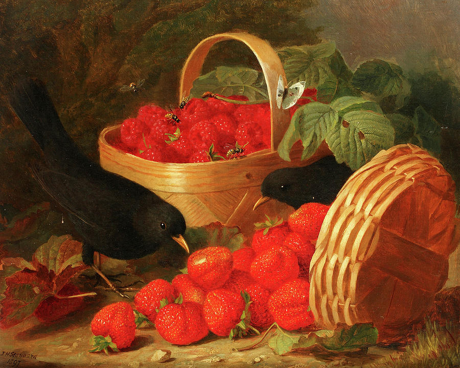 Eloise Harriet Stannard Painting - Two Blackbirds with Baskets of Strawberries and Raspberries by Eloise Harriet Stannard