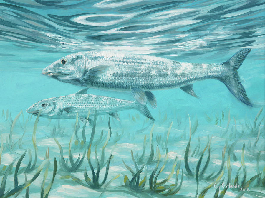 Two Bone Fish Painting