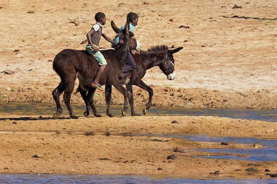 Donkey Photograph - Two Boys Riding Donkeys Along the River in Angola by Belinda Greb