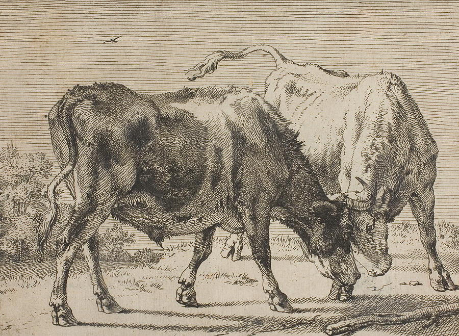 Two Bulls Fighting Relief by Paulus Potter