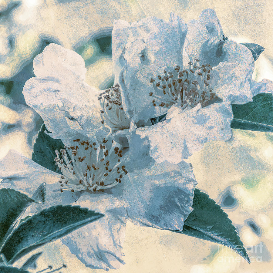 Two Camellias 3 Mixed Media by Elaine Teague