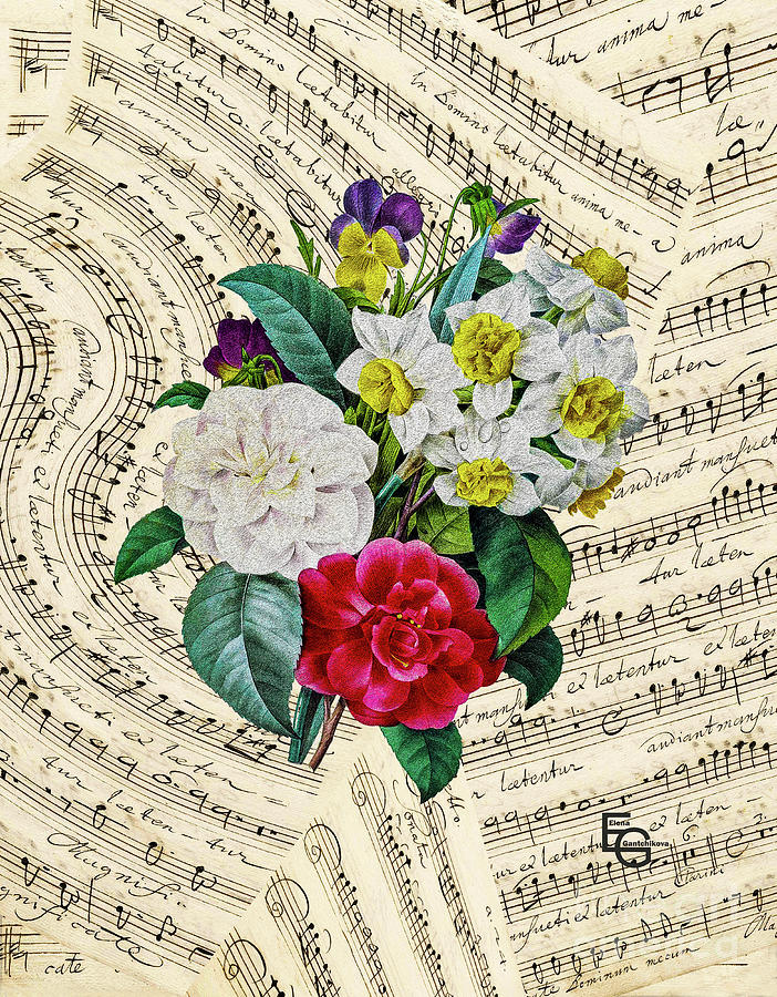 A symbolic bouquet of Narcissus, red and white camellias and violets on a musical score collage Mixed Media by Elena Gantchikova