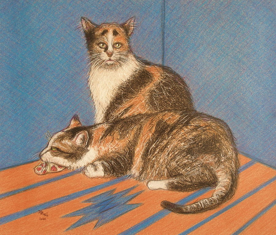 Two Cats Drawing by Donelli  DiMaria