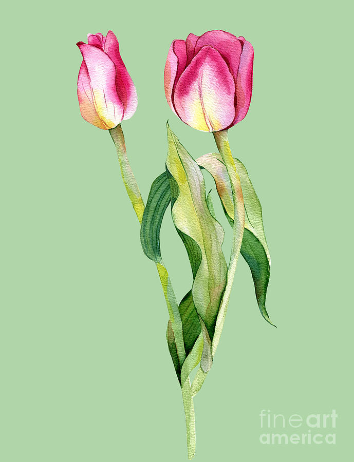 Two Charming Tulips Painting by Johanna Hurmerinta