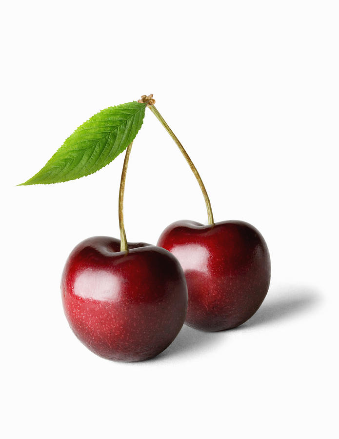 Two cherries and stalk, against white background, close-up Photograph by Burazin