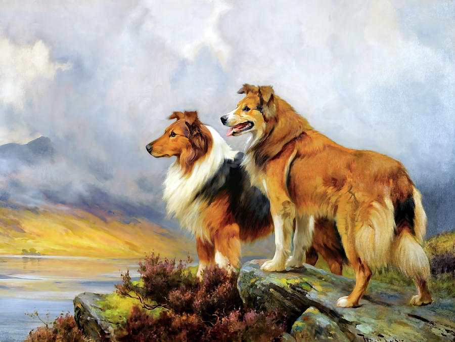 Two Collies Above A Lake by Wright Barker Photograph by Carlos Diaz