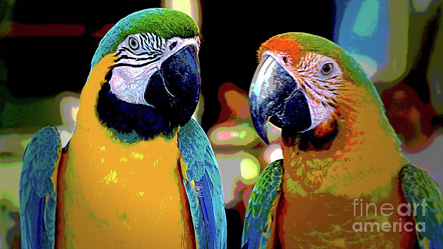 Two Colorful Macaws Mixed Media