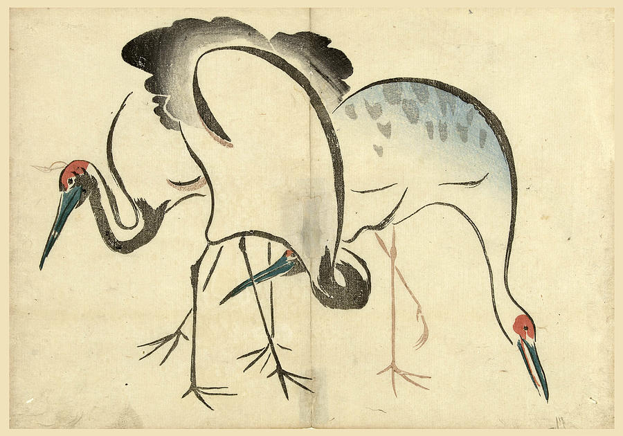 Two cranes Drawing by Nakamura Hochu