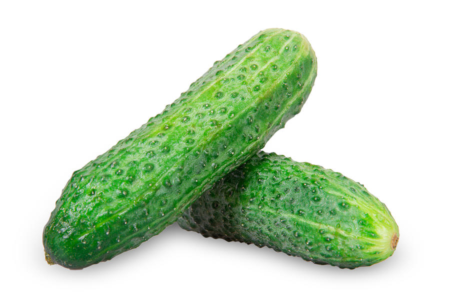 Two cucumber Photograph by MegaShabanov