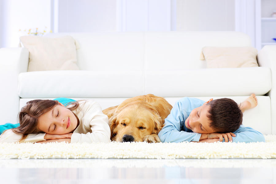 Two cute children and dog sleeping down on white carpet. Photograph by Skynesher