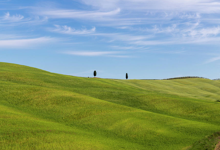 two cypress trees in Val D Orcia Photograph by Pietro Ebner