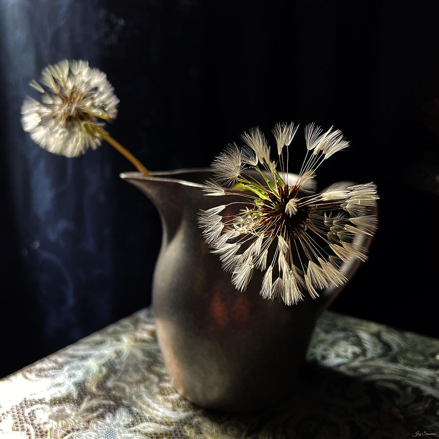 Two Dandelions in Pewter Pitcher by Joy Sussman Photograph by Joy Sussman