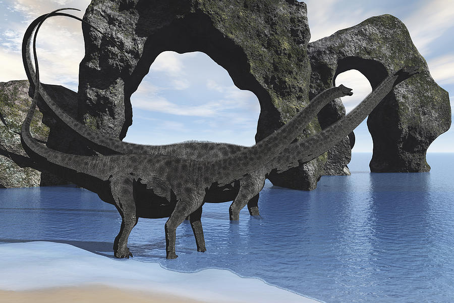 Two Diplodocus dinosaurs wade through shallow waters of a beautiful seashore. Drawing by Corey Ford/Stocktrek Images