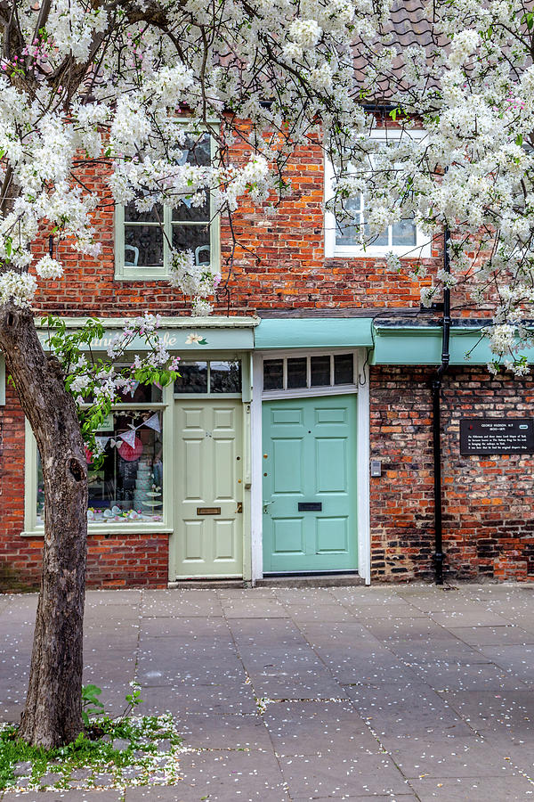 Two Doors in York Photograph by W Chris Fooshee