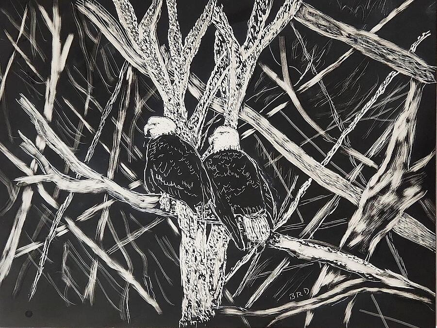 Two Eagles Drawing by Branwen Drew