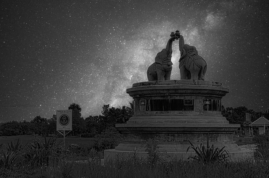 Cambodia Two Elephants Galaxy Skies Black White  Photograph by Chuck Kuhn