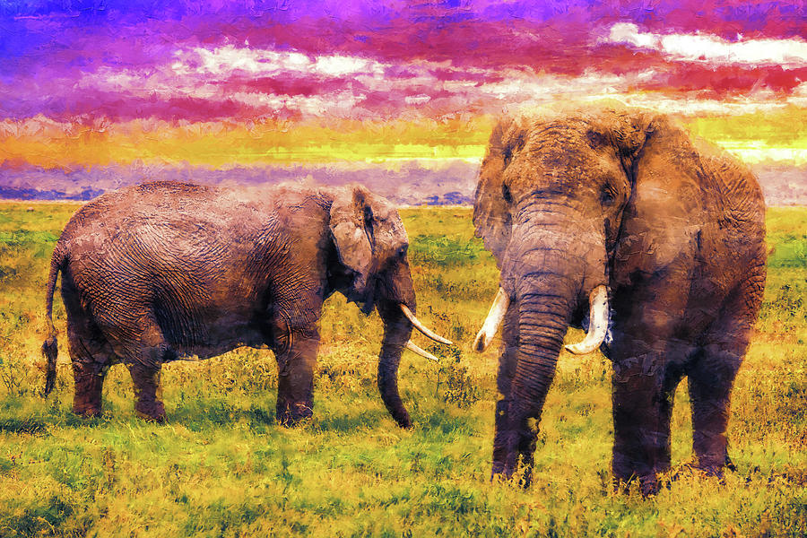 Two elephants on pasture at sunset - digital painting Digital Art by Nicko Prints