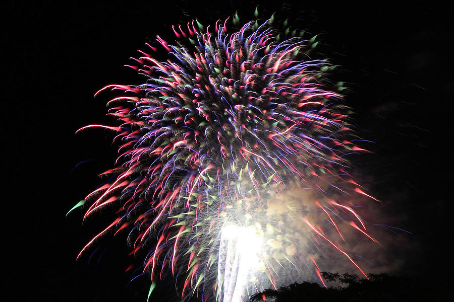 Two Exploding. Photograph by Linda Goodman Fine Art America