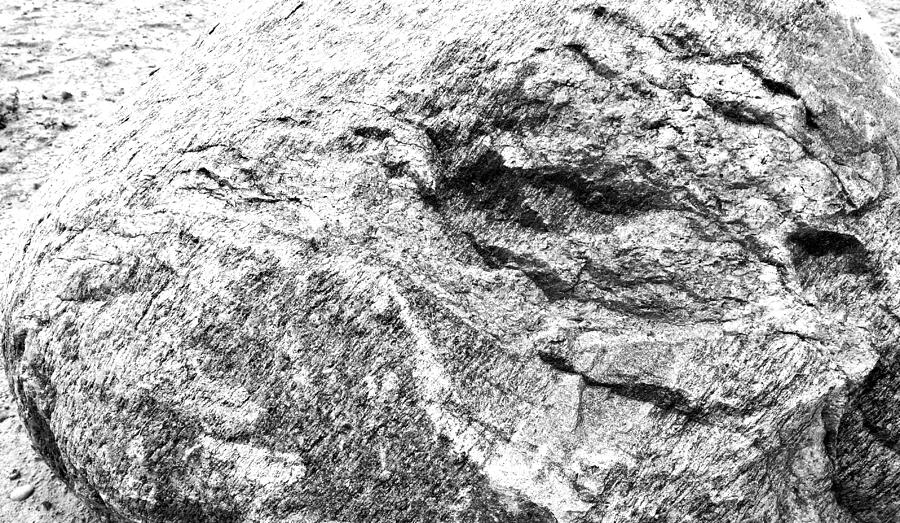 Two Faced Rock Photograph by John Bartosik